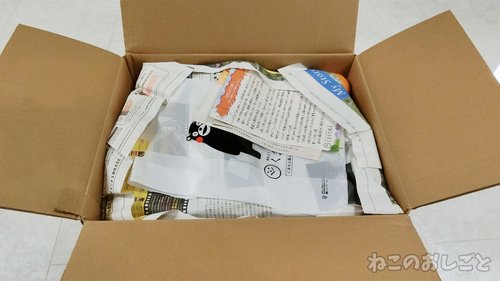 f:id:necozuki299:20190301172406j:plain f:id:necozuki299:20190301172406j:plain