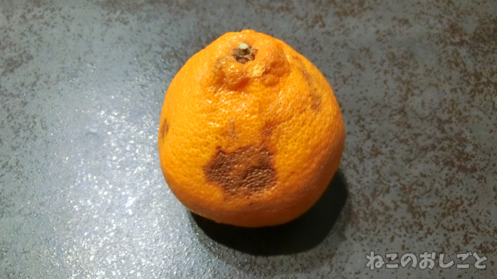 f:id:necozuki299:20190301173634j:plain f:id:necozuki299:20190301173634j:plain