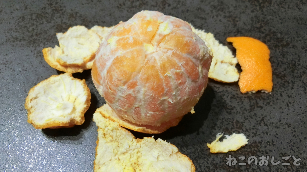 f:id:necozuki299:20190301174808j:plain f:id:necozuki299:20190301174808j:plain