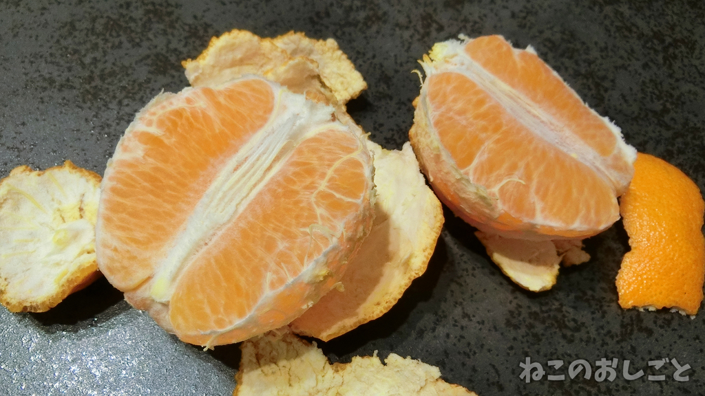 f:id:necozuki299:20190301174838j:plain f:id:necozuki299:20190301174838j:plain