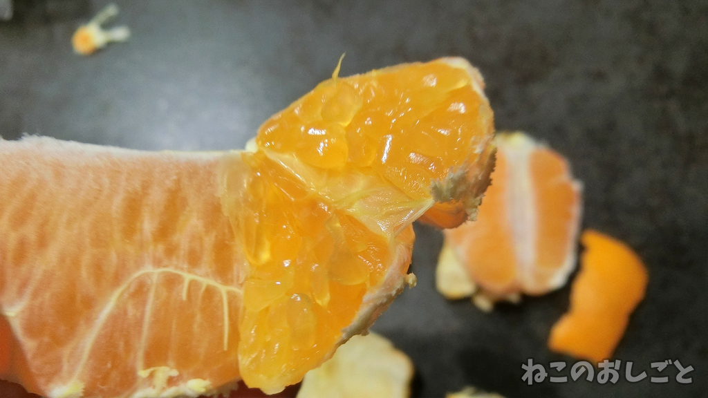 f:id:necozuki299:20190301174907j:plain f:id:necozuki299:20190301174907j:plain