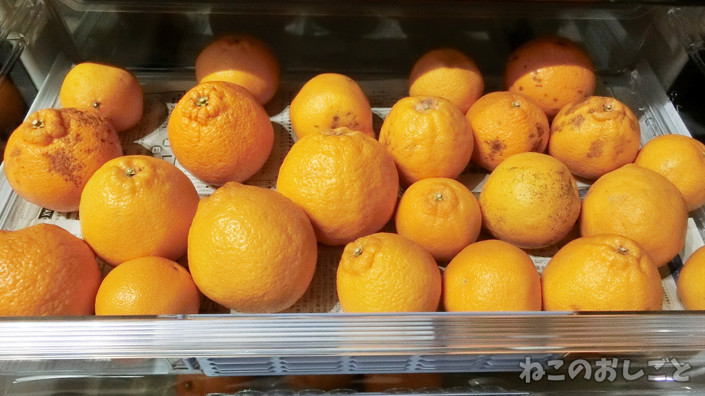 f:id:necozuki299:20190301180018j:plain f:id:necozuki299:20190301180018j:plain