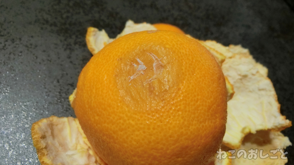 f:id:necozuki299:20190301180312j:plain f:id:necozuki299:20190301180312j:plain