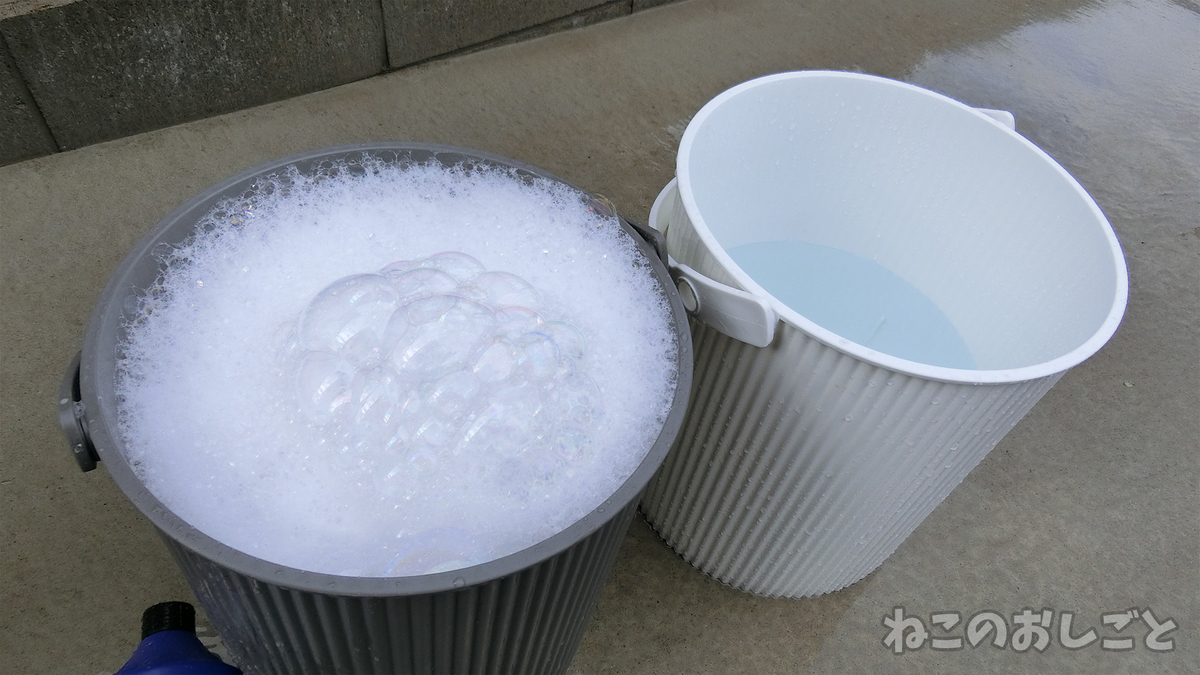 f:id:necozuki299:20190321201546j:plain