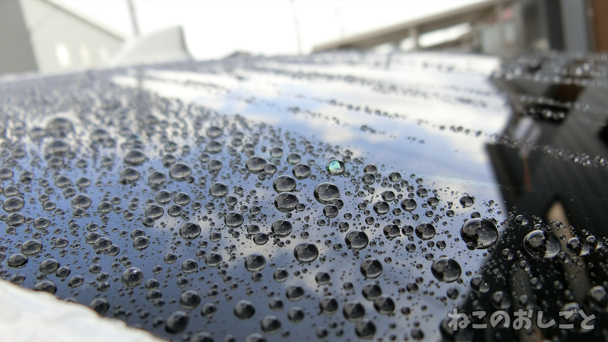 f:id:necozuki299:20190321204248j:plain