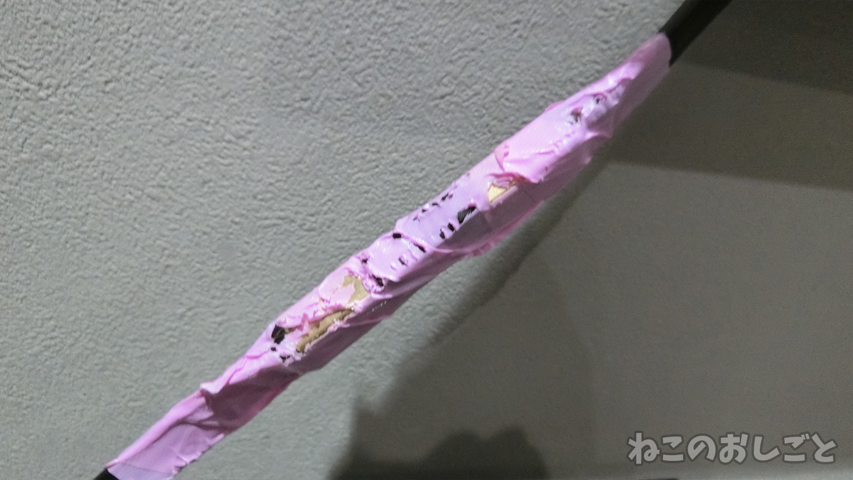 f:id:necozuki299:20190427205512j:plain f:id:necozuki299:20190427205512j:plain