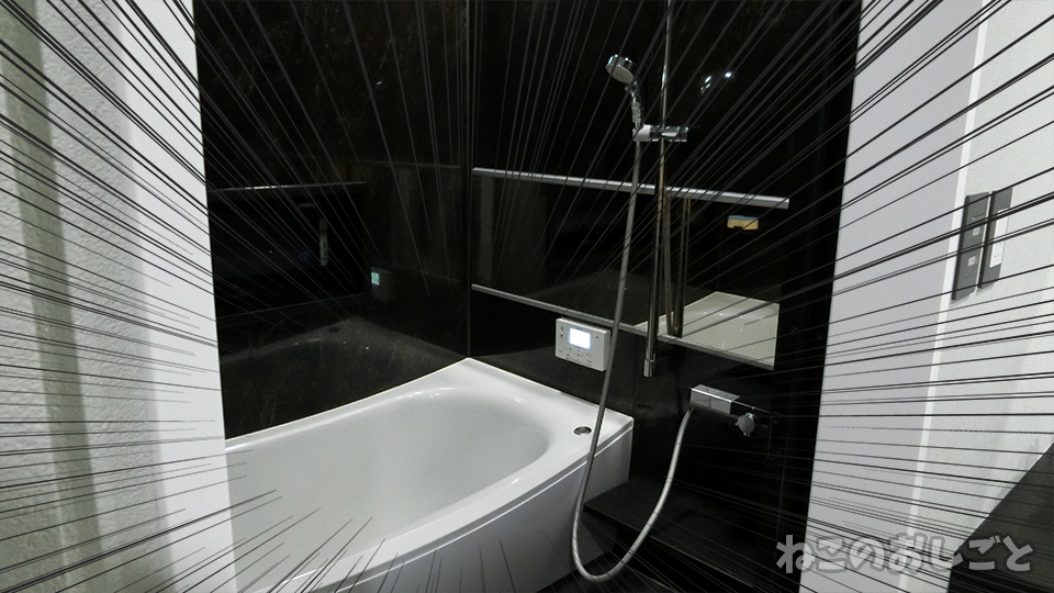 f:id:necozuki299:20190529195338j:plain f:id:necozuki299:20190529195338j:plain