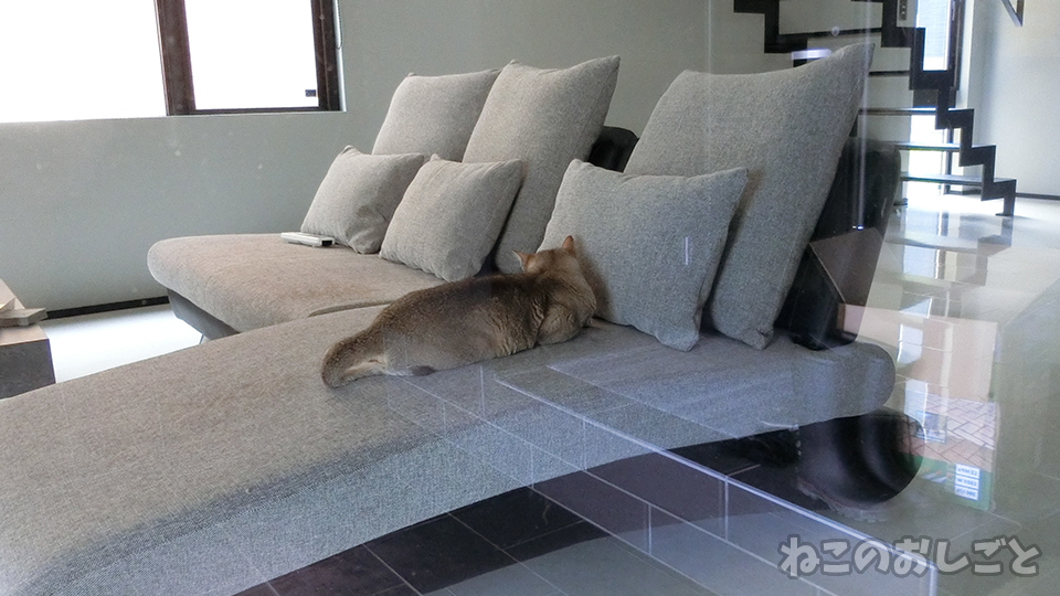 f:id:necozuki299:20190717205438j:plain f:id:necozuki299:20190717205438j:plain