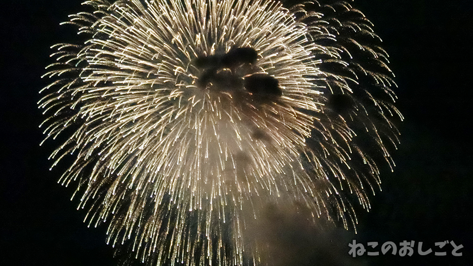 f:id:necozuki299:20190803202759j:plain f:id:necozuki299:20190803202759j:plain