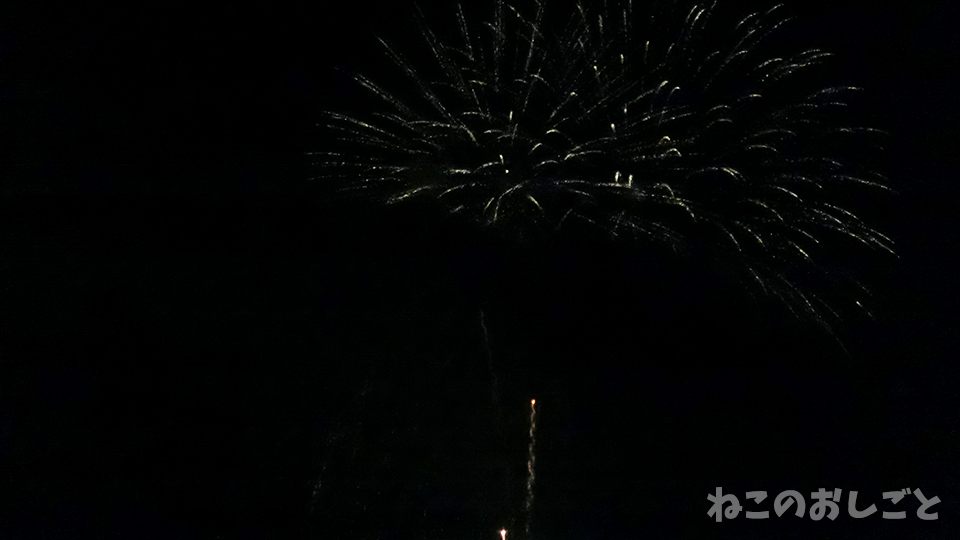 f:id:necozuki299:20190803202917j:plain f:id:necozuki299:20190803202917j:plain