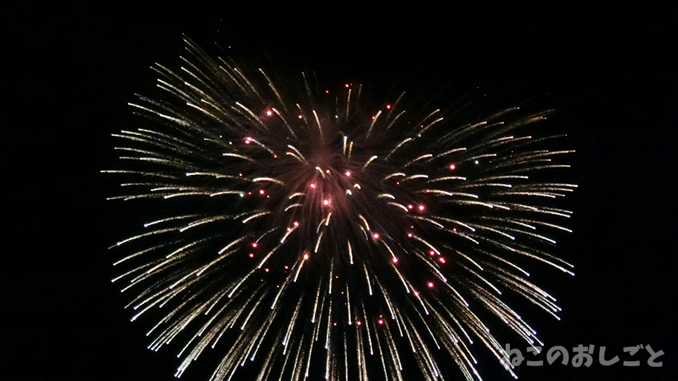 f:id:necozuki299:20190803204543j:plain f:id:necozuki299:20190803204543j:plain