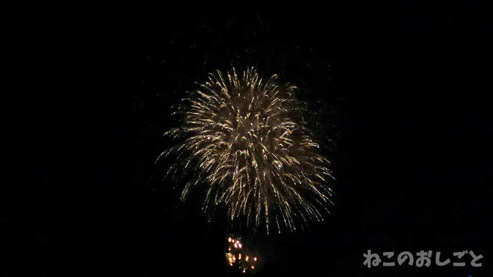 f:id:necozuki299:20190803204553j:plain f:id:necozuki299:20190803204553j:plain