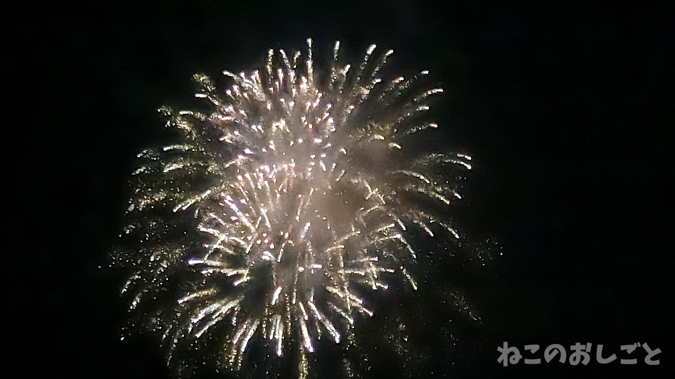 f:id:necozuki299:20190803204922j:plain f:id:necozuki299:20190803204922j:plain