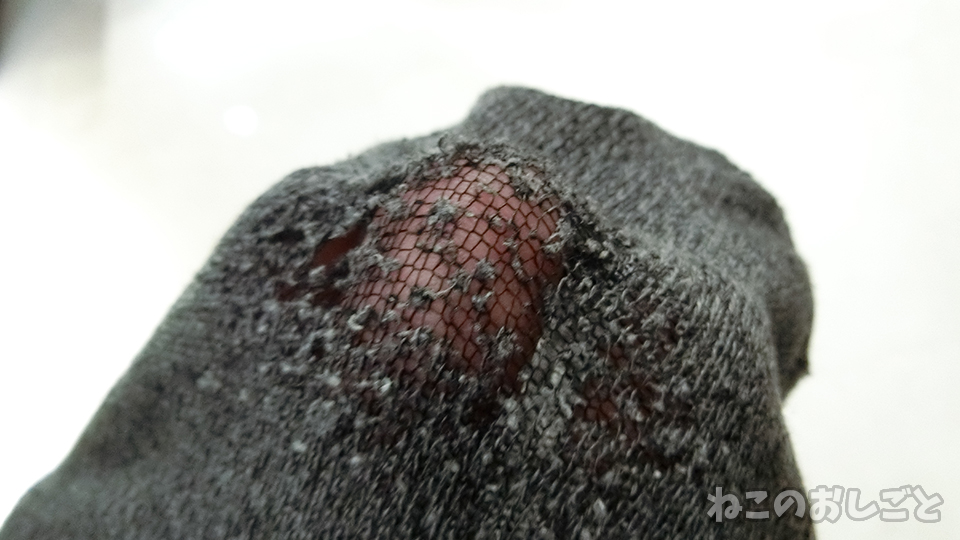 f:id:necozuki299:20190812194101j:plain