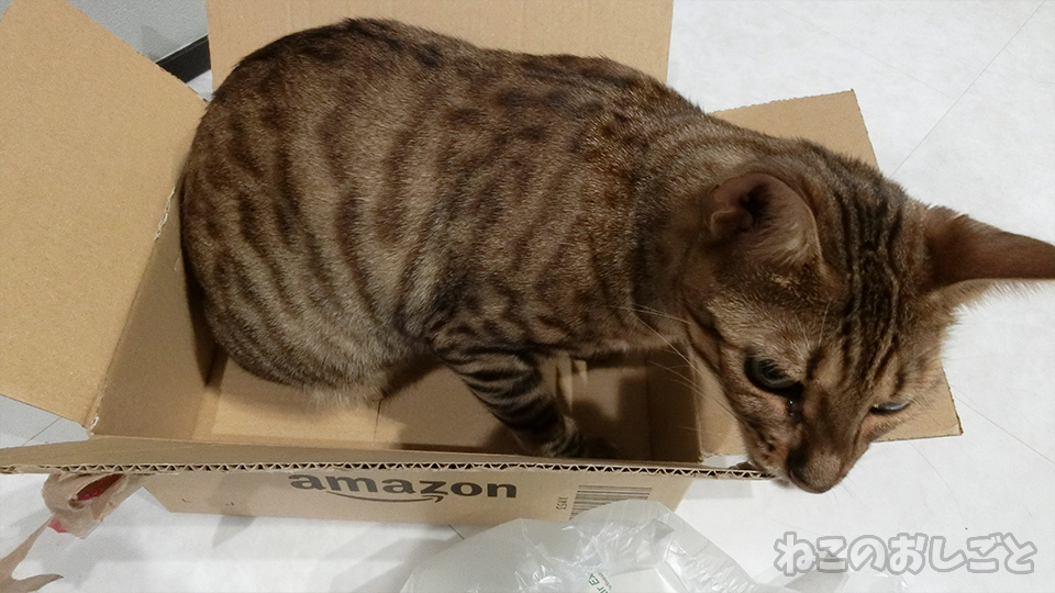 猫に芳香剤は良くないけどカモミールの匂いが欲しい 安いアロマオイルは偽物 ねこのおしごと