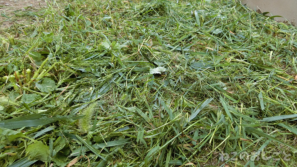 ボッシュの草刈り機で庭の雑草を一網打尽! こんなに楽しく草刈り出来るなんてすげぇ! EGC26レビュー - ねこのおしごと ボッシュの草刈り機で庭の雑草を一網打尽! こんなに楽しく草刈り出来るなんてすげぇ! EGC26レビュー - ねこのおしごと