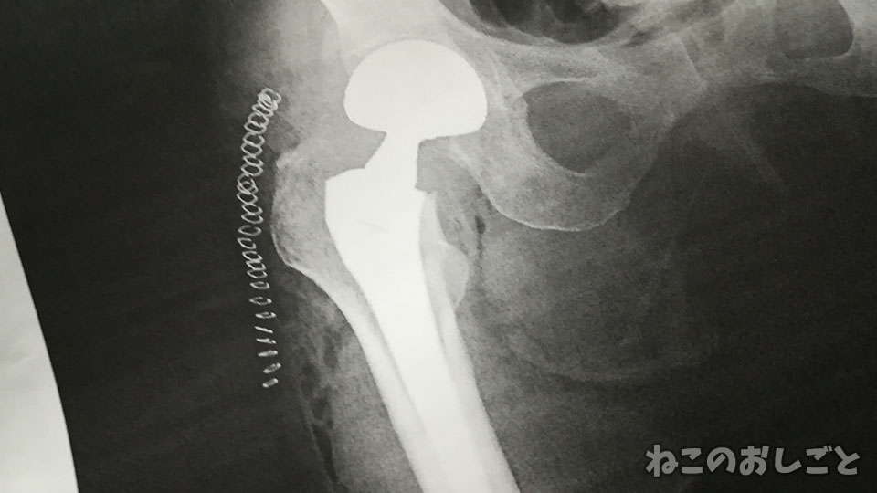 f:id:necozuki299:20191022114947j:plain