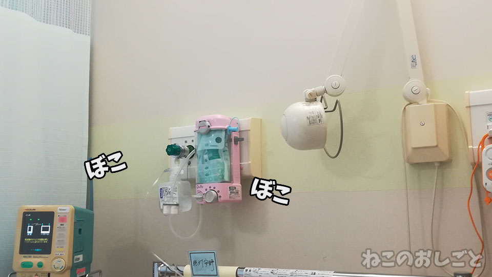 f:id:necozuki299:20191022115639j:plain