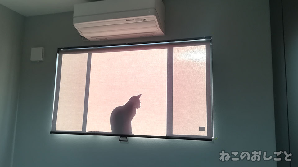 f:id:necozuki299:20191022123213j:plain