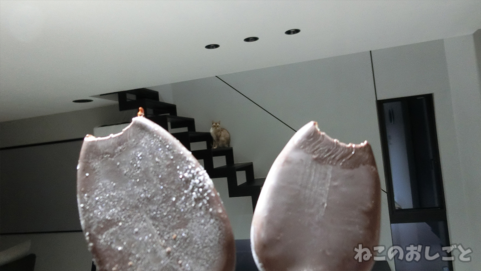 f:id:necozuki299:20191110112751j:plain f:id:necozuki299:20191110112751j:plain