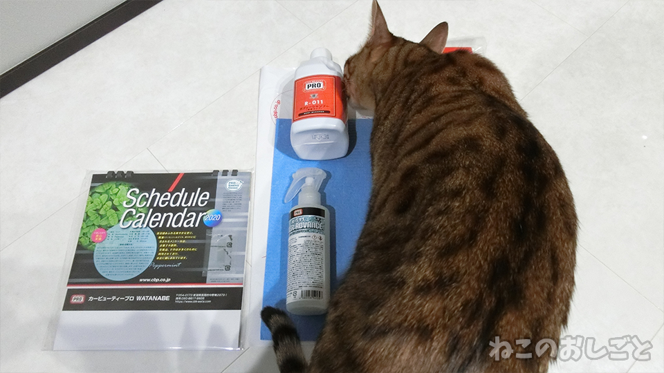 f:id:necozuki299:20191115205952j:plain