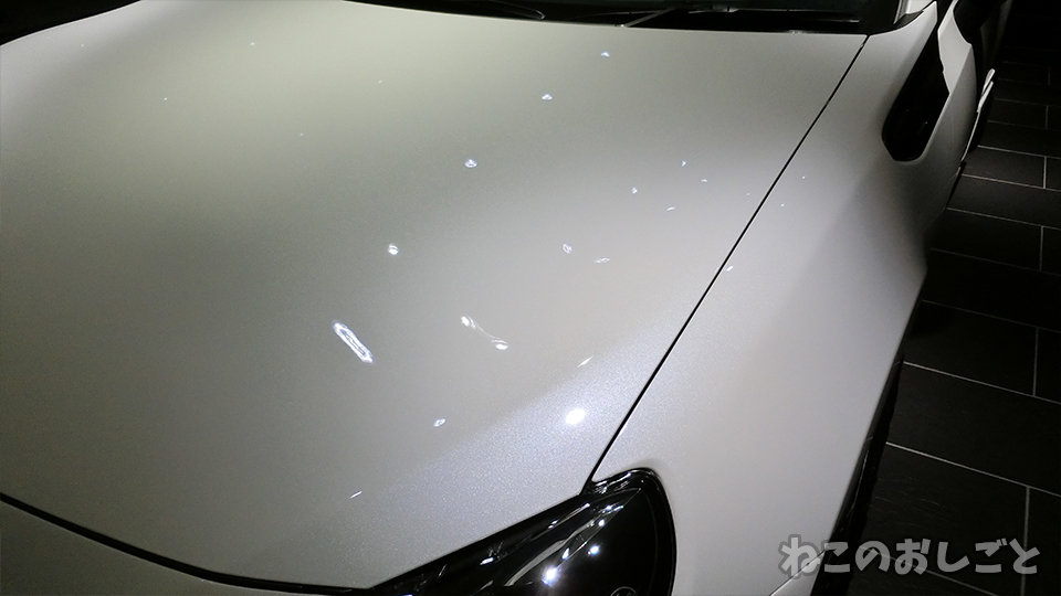 f:id:necozuki299:20191115214113j:plain