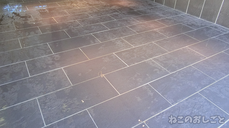 f:id:necozuki299:20191116103103j:plain