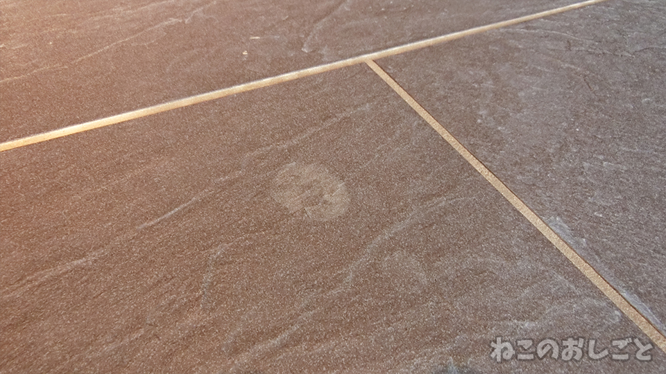 f:id:necozuki299:20191116103645j:plain