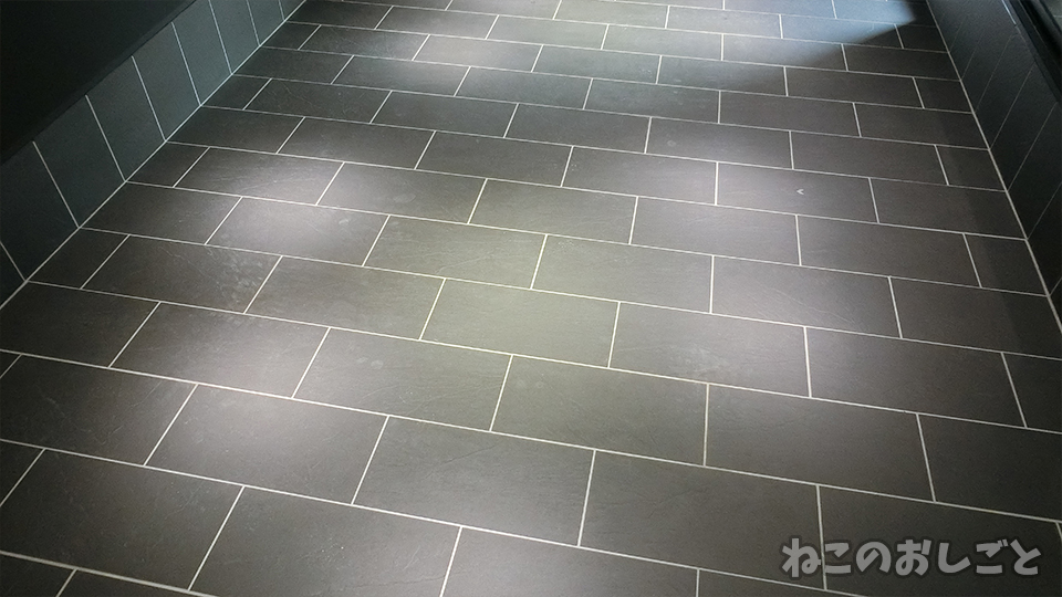 f:id:necozuki299:20191116103858j:plain