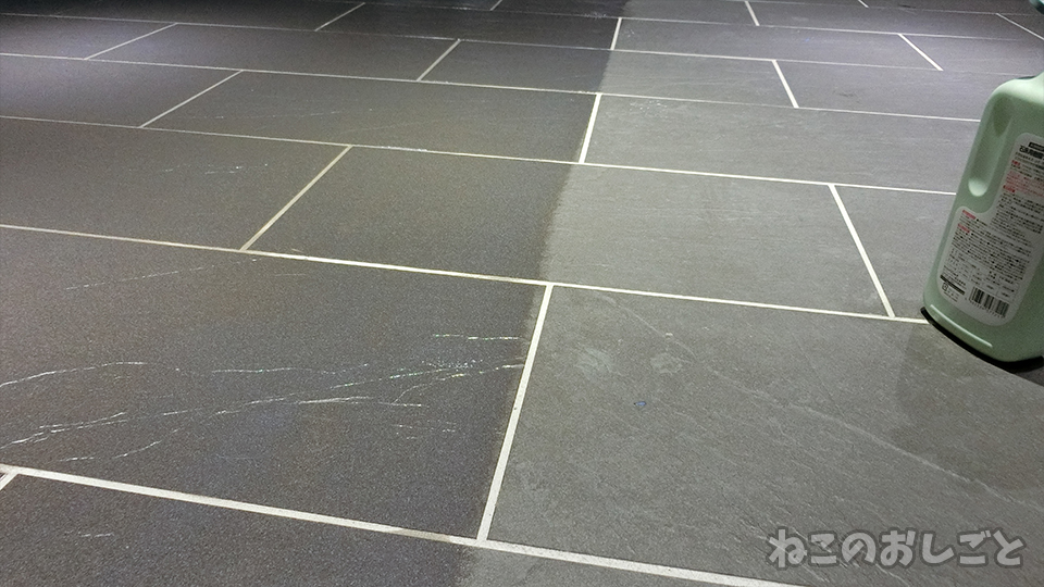 f:id:necozuki299:20191116105341j:plain