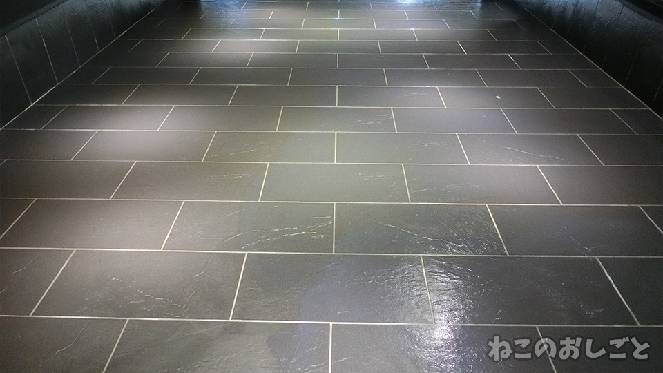 f:id:necozuki299:20191116105350j:plain