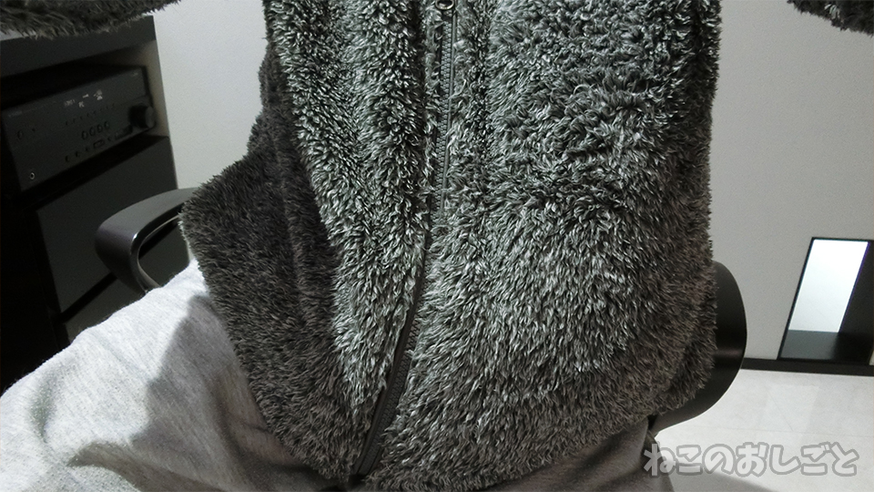 f:id:necozuki299:20191121110645j:plain