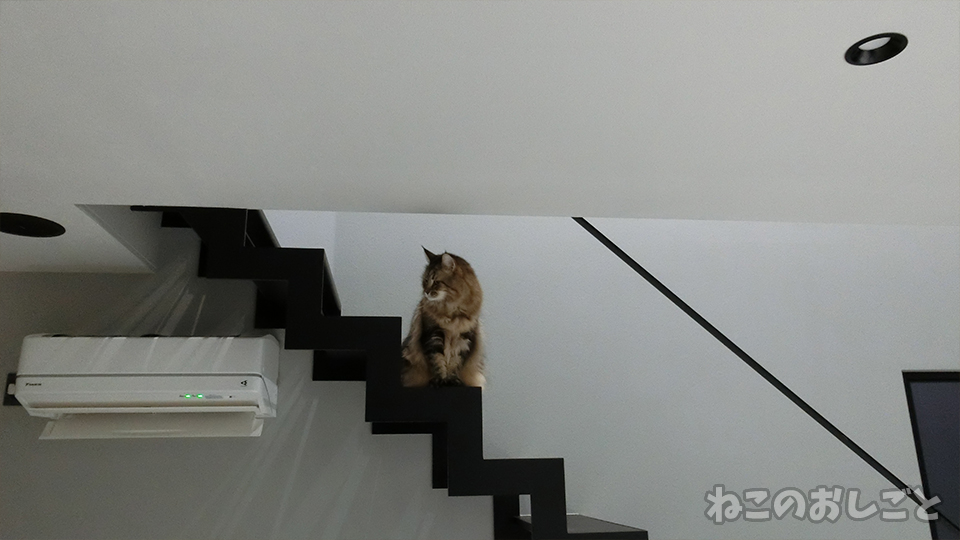 f:id:necozuki299:20191220181540j:plain