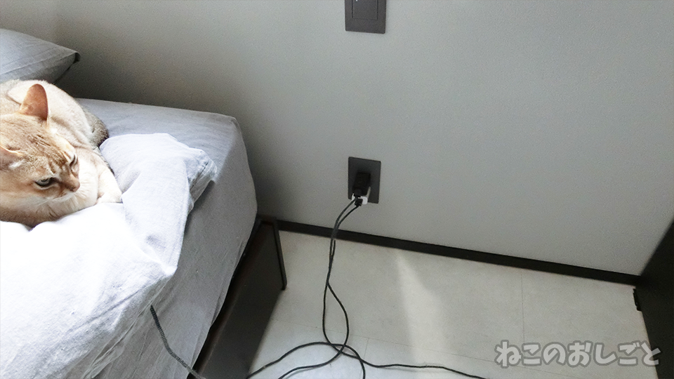 f:id:necozuki299:20200314141609p:plain f:id:necozuki299:20200314141609p:plain