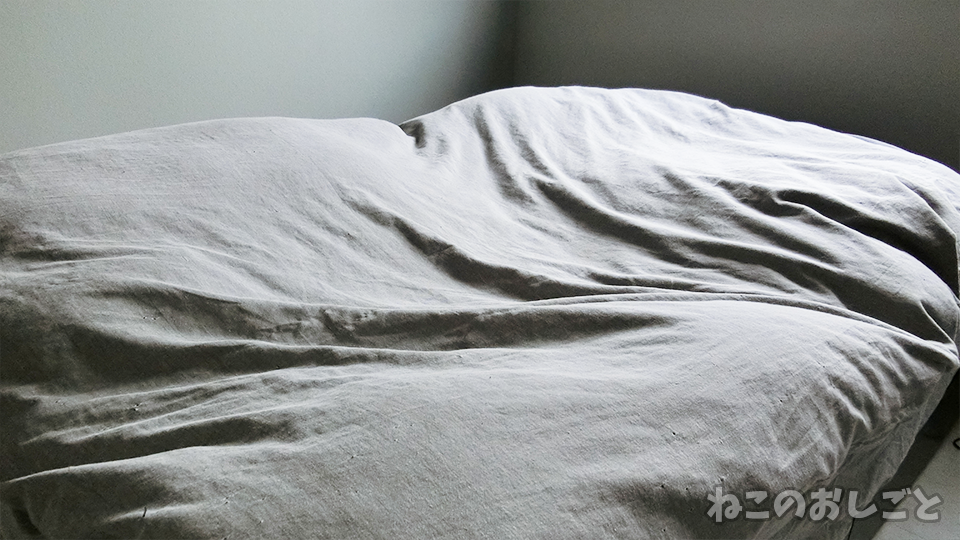 f:id:necozuki299:20200314144114p:plain f:id:necozuki299:20200314144114p:plain