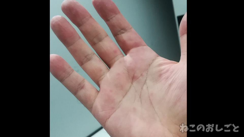 f:id:necozuki299:20200415174249j:plain