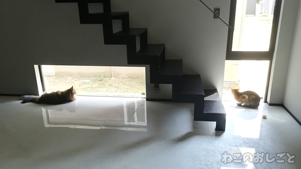 f:id:necozuki299:20200502142750j:plain