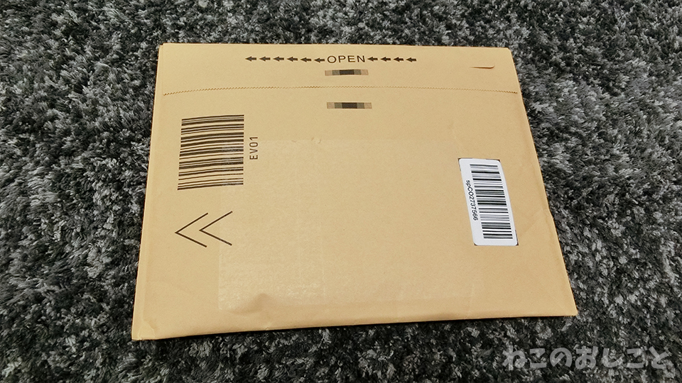 f:id:necozuki299:20200609173702j:plain