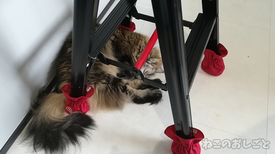 f:id:necozuki299:20200609183425j:plain