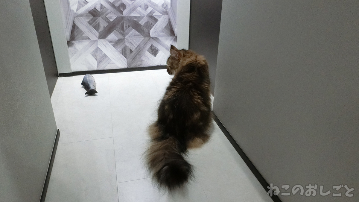 f:id:necozuki299:20200714210522j:plain