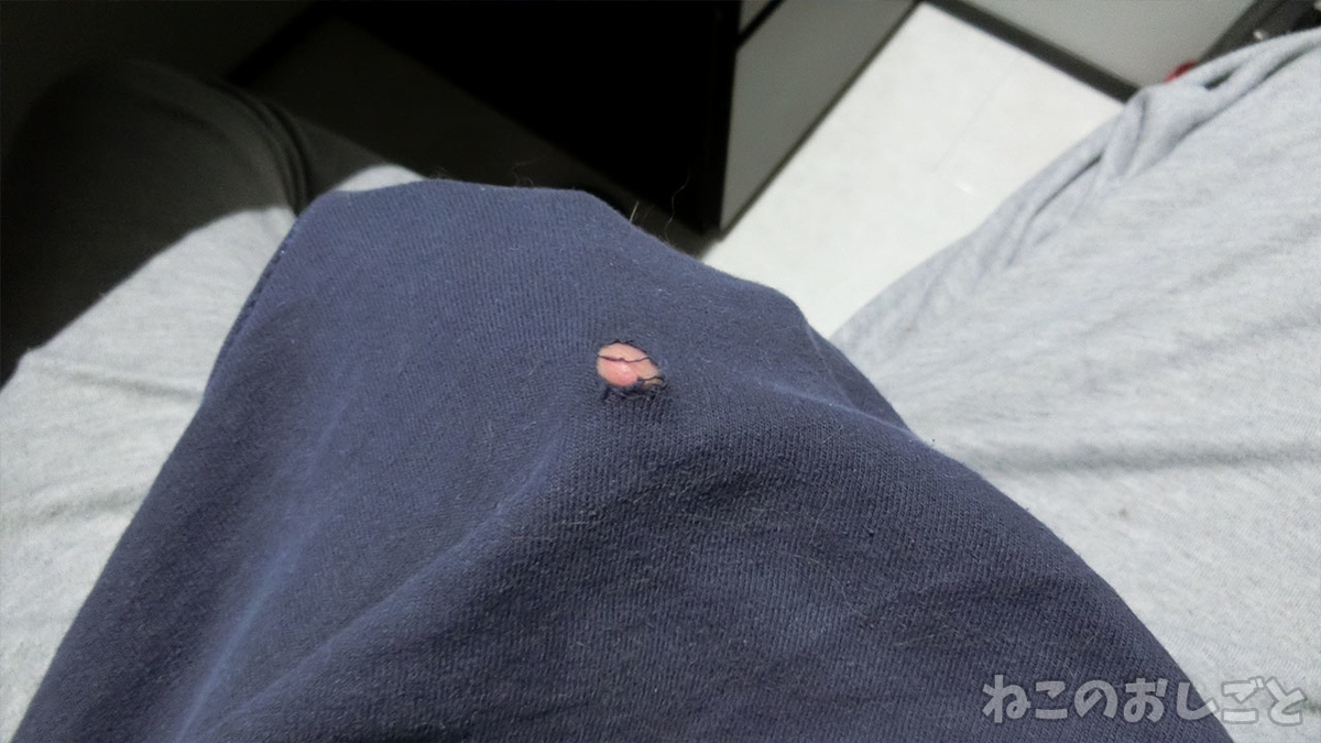 f:id:necozuki299:20200728155954j:plain