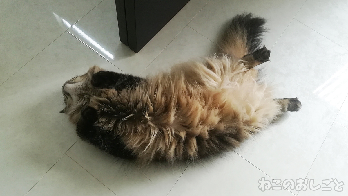 f:id:necozuki299:20200812161559j:plain