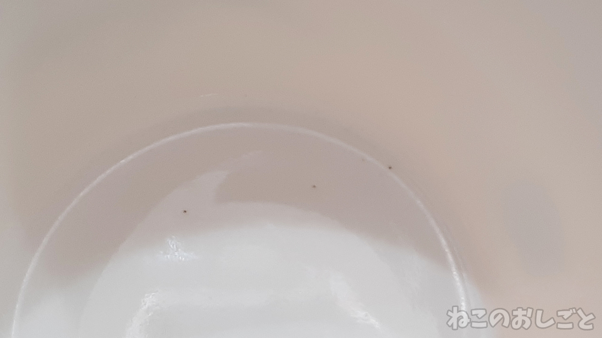 f:id:necozuki299:20210214165322j:plain