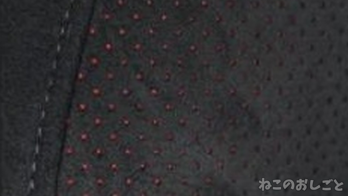 f:id:necozuki299:20210308174835j:plain