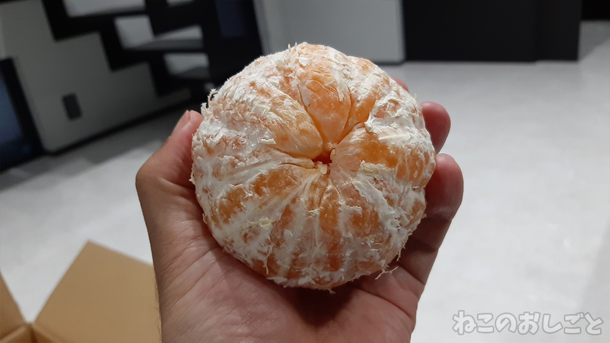 f:id:necozuki299:20210327191606j:plain