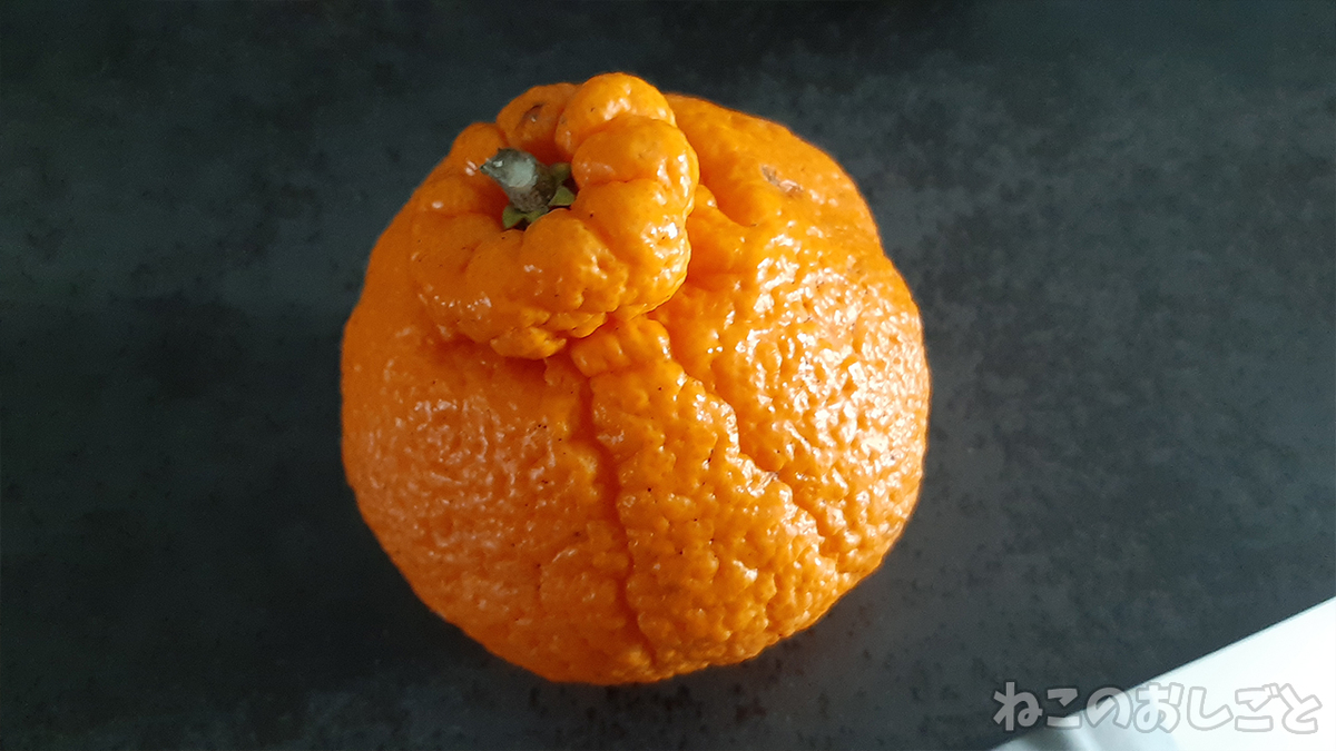 f:id:necozuki299:20210327191913j:plain