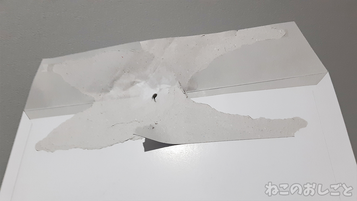 f:id:necozuki299:20210328115342j:plain