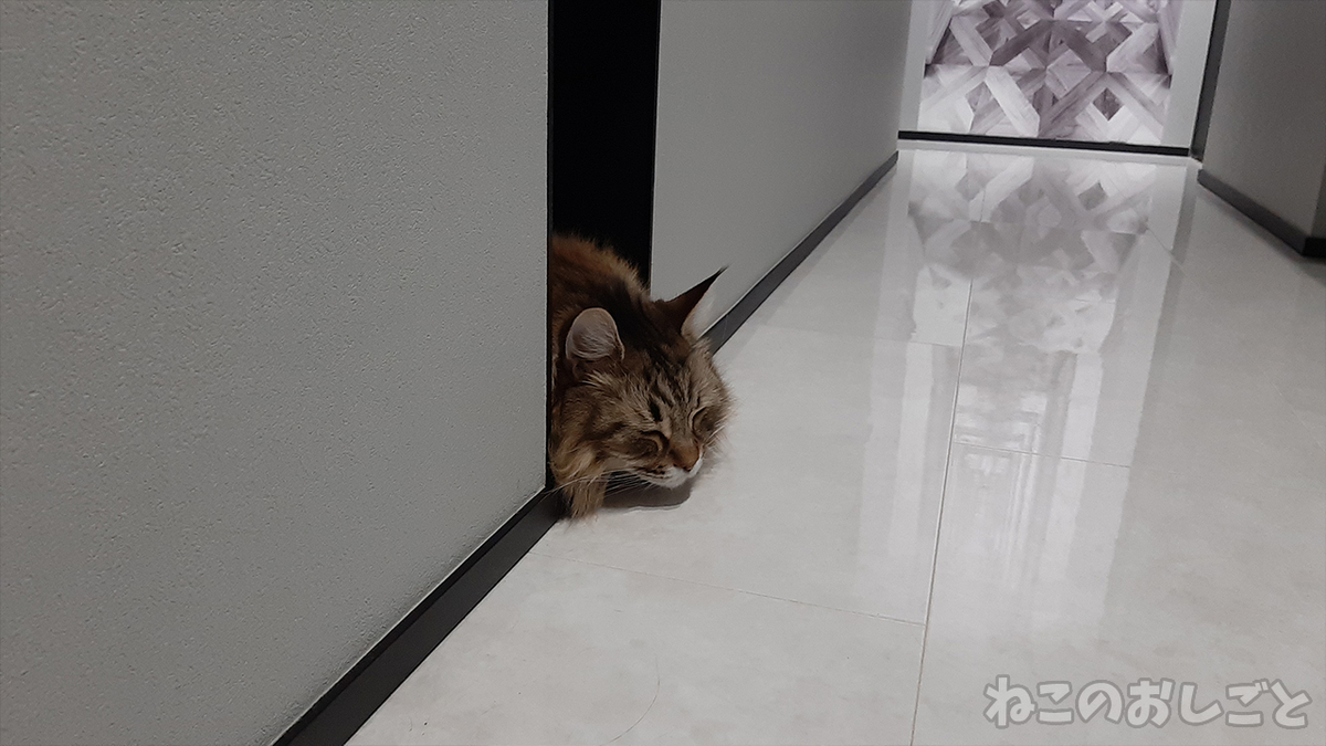 f:id:necozuki299:20210423214809j:plain