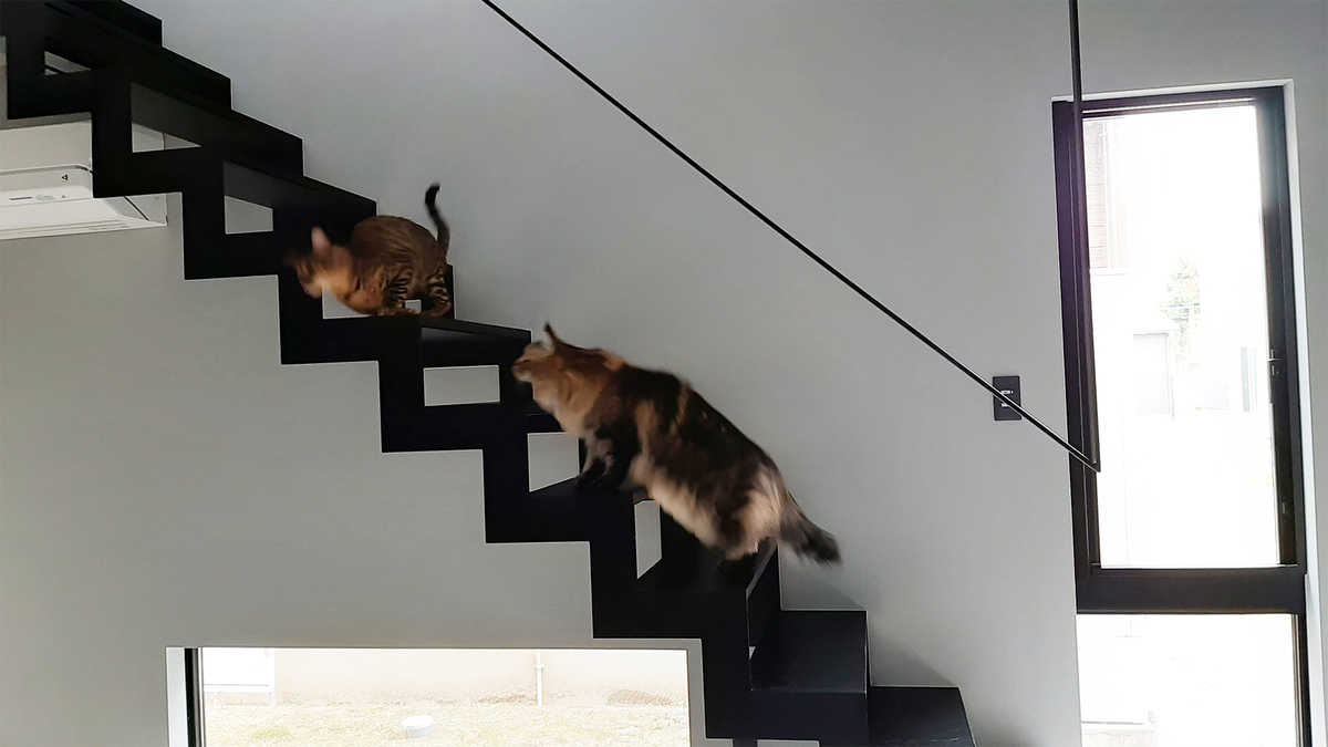 f:id:necozuki299:20210507141543j:plain