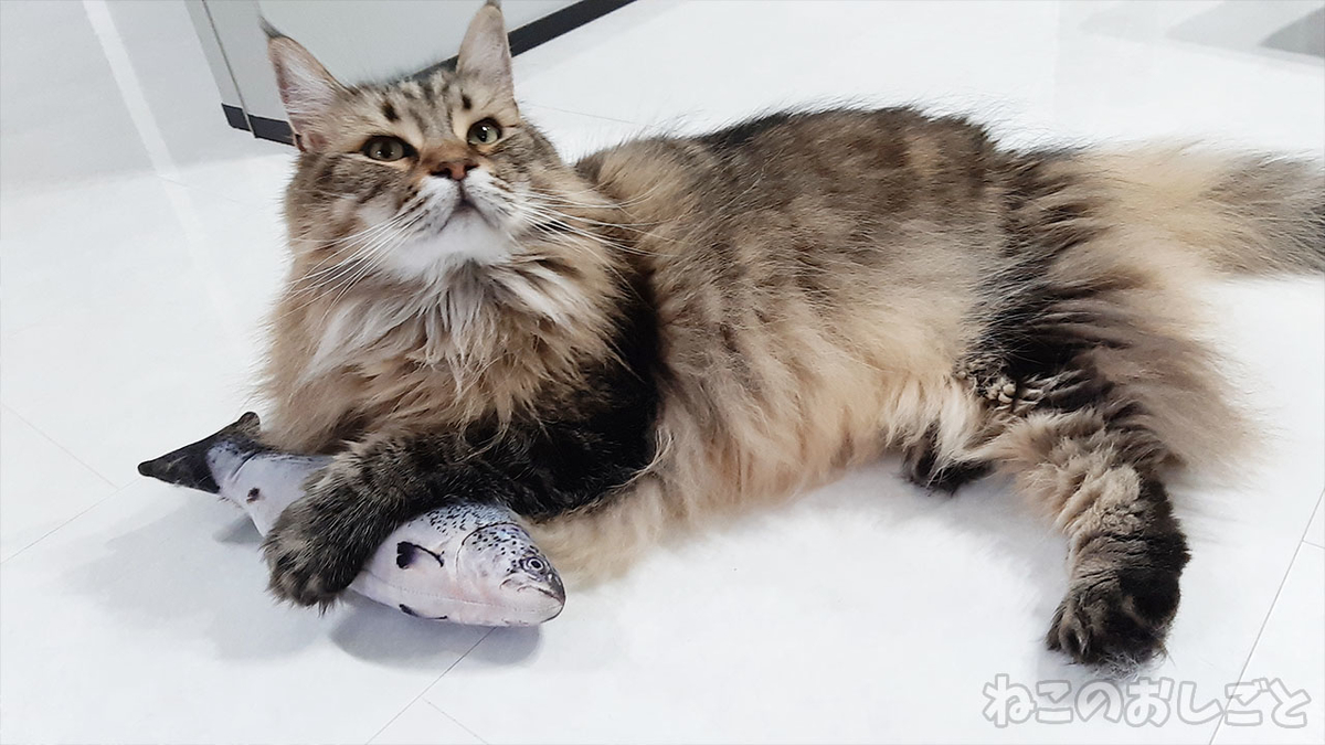 f:id:necozuki299:20210629204657j:plain